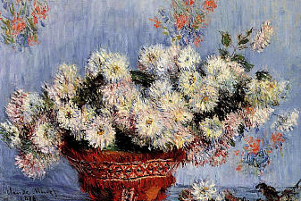 Chrysanthemums