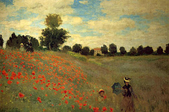 Field of Poppies