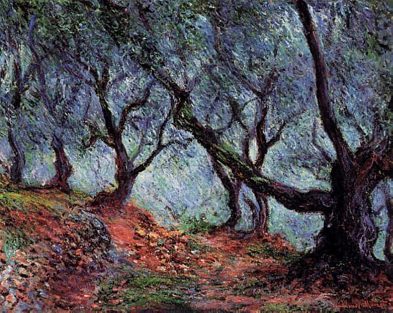 Grove of Olive Trees in Bordighera 