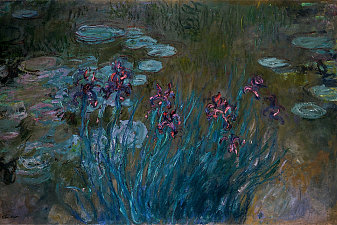 Irises and Water-Lilies