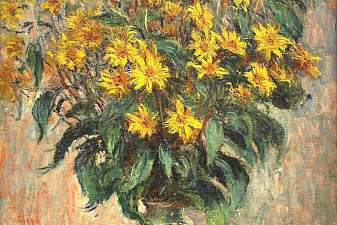 Jerusalem Artichokes