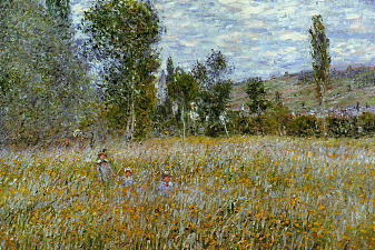 Meadow