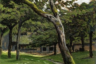 Norman Farm through the Trees