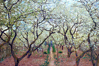 Orchard in Bloom