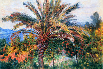 Palm Tree at Bordighera