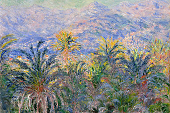 Palm Trees at Bordighera