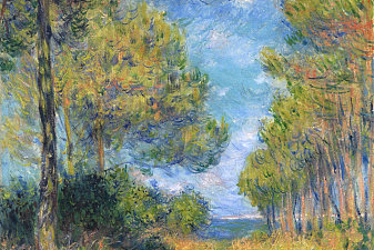 Path at Varengeville