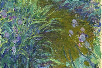 Path through the Irises 02