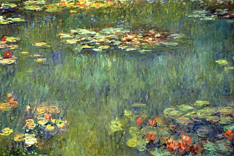 Pool with Waterlilies