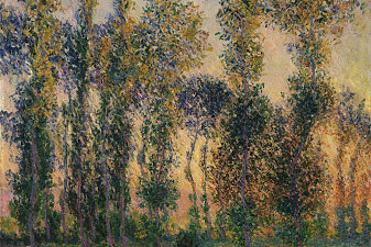 Poplars at Giverny