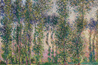 Poplars at Giverny