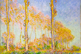 Poplars, Autumn, Pink Effect