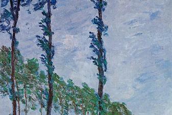 Poplars, Wind Effect