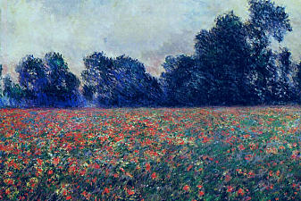 Poppies at Giverny