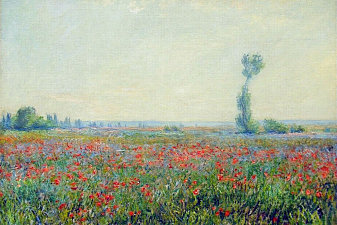 Poppy Field