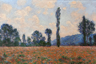 Poppy Field in Giverny 03