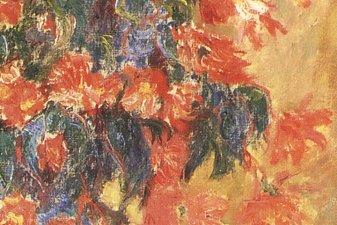 Red azaleas in a Pot