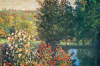 Roses in the Hoshede`s Garden at Montregon