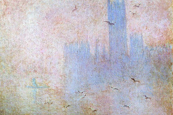 Seagulls over the Houses of Parliament