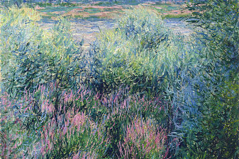 Spot on the Banks of the Seine