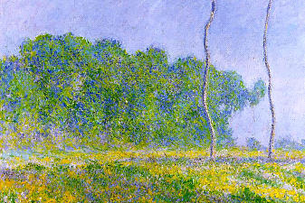 Spring Landscape