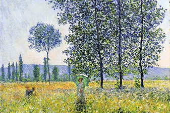 Sunlight Effect under the Poplars