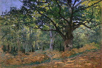 The Bodmer Oak, Fontainebleau