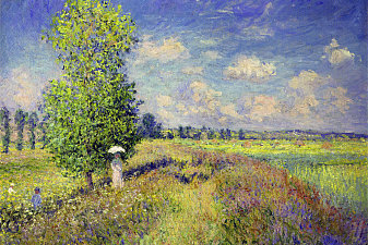 The Summer, Poppy Field