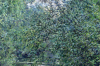 The Willows on the River