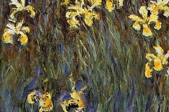 The Yellow Irises