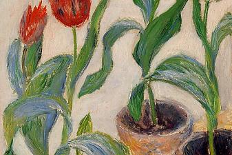 Three Pots of Tulips