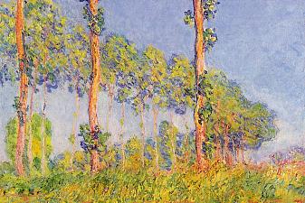 Three Trees, Autumn Effect