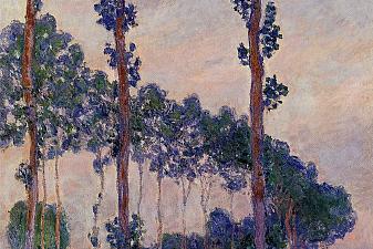 Three Trees in Grey Weather