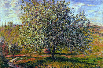 Tree in Flower near Vetheuil