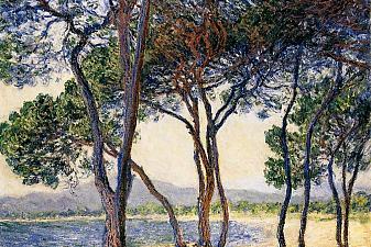 Trees by the Seashore at Antibes