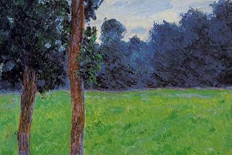 Two Trees in a Meadow