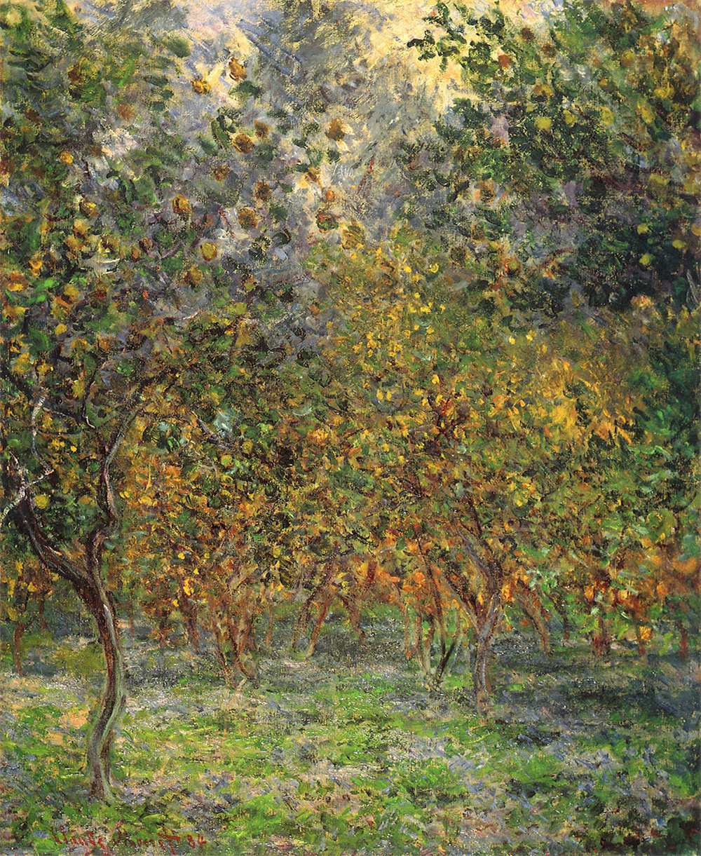 Under the Lemon Trees 