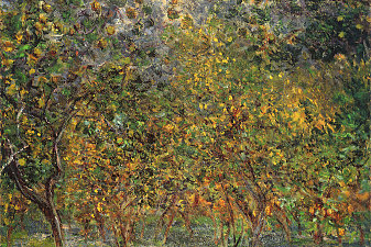 Under the Lemon Trees