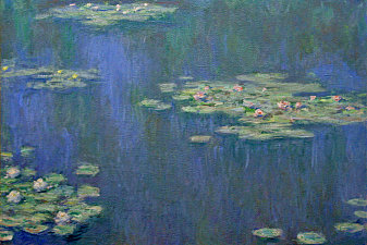 Water Lilies