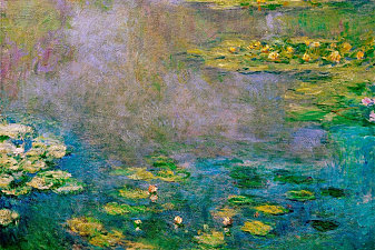 Water Lilies