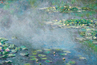 Water Lilies
