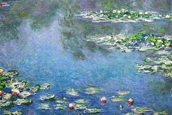 Water Lilies