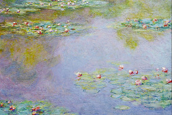 Water Lilies