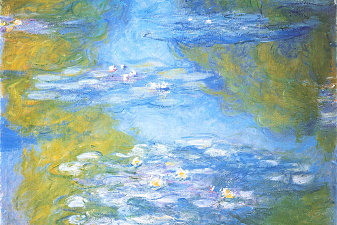Water Lilies