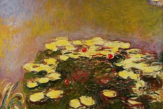 Water Lilies