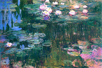Water Lilies