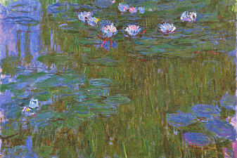 Water Lilies