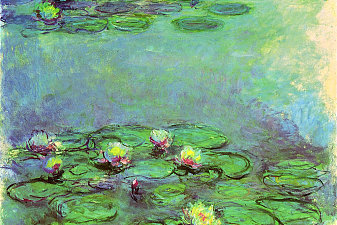 Water Lilies