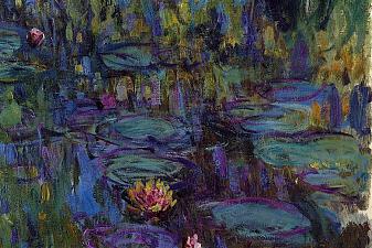 Water Lilies