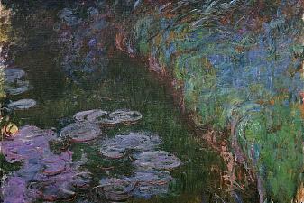 Water Lilies